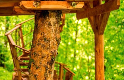 Prosec pod Jestedem Cabina | Treehouse pod Jestedem