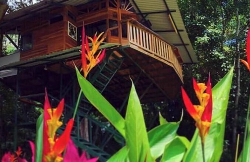Jacó Casa | Treehouse with butterfly and exotic fruit farm