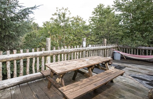 Newcastle-on-Clun Cabaña | TREEHOUSE YURT, pet friendly, character holiday cottage in Beguildy