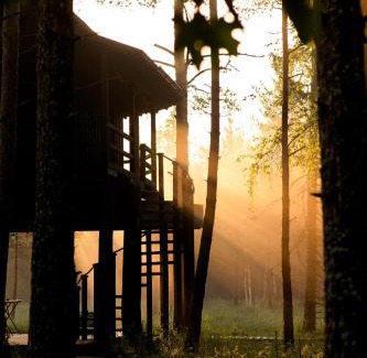 Saue Parish Cabina | Treehouseestonia