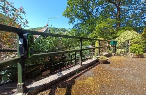 Lynmouth Casa | Treetop Cottage at Countisbury Lodge