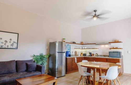 Colonos Cuzamil Apartamento | Treetop Cozumel + Adults Only Serviced Apt + Starlink Wifi + Free Bikes + Pool