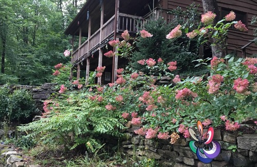 Cataloochee Ranch Cabina | Treetop es un refugio privado y tranquilo a pocos minutos de Cataloochee