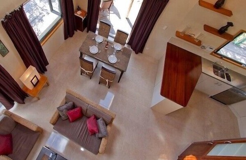 Tairua Cabaña | Treetop Oasis - Tairua Executive Holiday Home