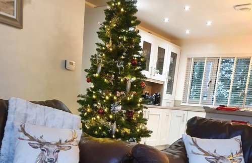 Otterburn Cabina | Treetops - 3 bedroom lodge with Hot Tub set in the National Park