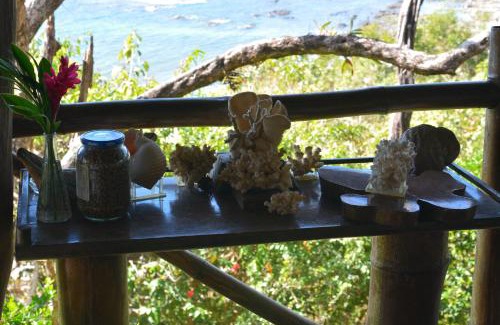 San Juanillo Cama Y Desayuno | TreeTops Inn