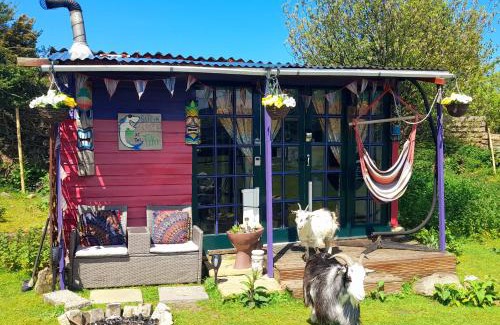 Redruth Otro | Treguth Glamping Unique Experience - Themed Huts