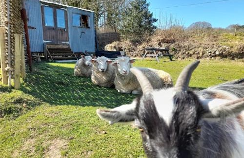 Redruth Otro | Treguth Glamping Unique Experience - Themed Huts