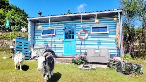 Redruth Otro | Treguth Glamping Unique Experience - Themed Huts