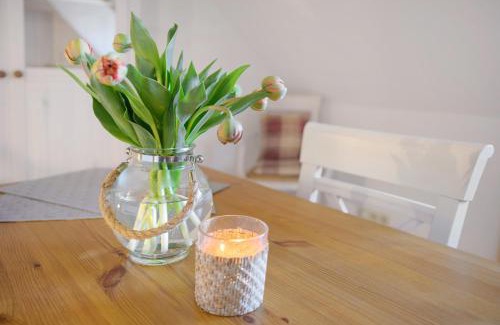 Westerhever Apartamento | Treibholz
