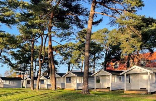 Gislov Otro | Trelleborg Strand