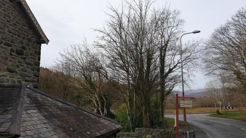 Dolgellau Cama Y Desayuno | Trem Hyfryd B&B