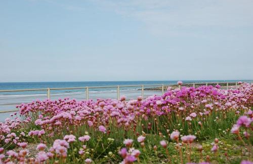 Tywyn Casa | Trem Y Mor - Edge of the Sea