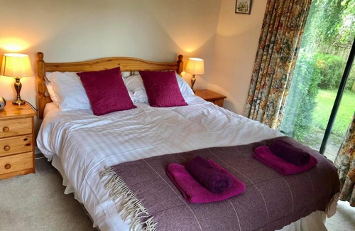 New Quay Casa | Trem y Mor