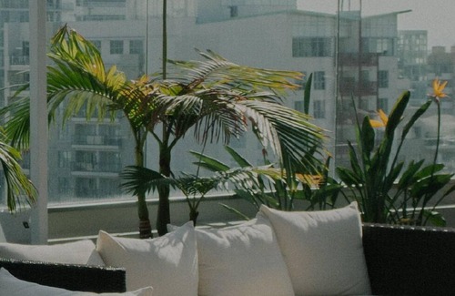St. Elizabeth's Apartamento | Trendy Brighton 1BR w/ W/D, Gym, near T, Shops + Dining