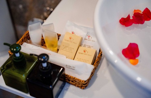 Hoi An City Centre Hotel | Trendy Life Villa Hoi An