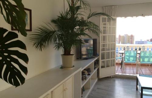 Carihuela Apartamento | Tres Carabelas