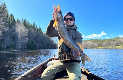 Halden Chalet De Esquí | Tretopphytter På Grensen - Elghytta med robåt og gjeddefiske
