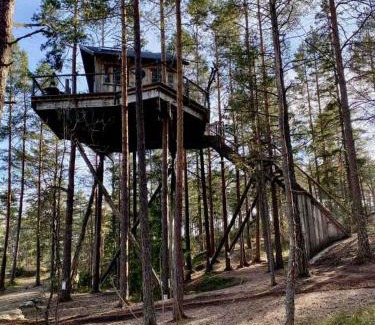 Halden Chalet De Esquí | Tretopphytter På Grensen - Elghytta med robåt og gjeddefiske