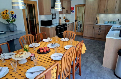 Port Isaac Casa | Trevallion is a stunning bungalow in idyllic surroundings, near Port Isaac.
