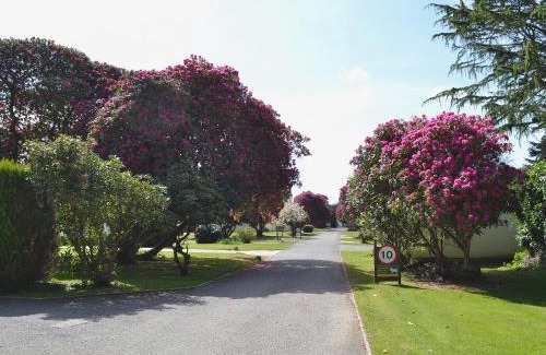 Liskeard Casa | Trevarno - B6527