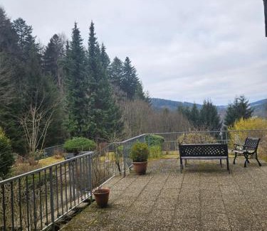 Triberg im Schwarzwald Apartamento | Triberg Falls Hideaway - Apartment 35