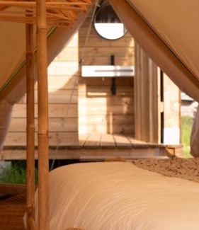 Silves Otro | Tribu Lodge