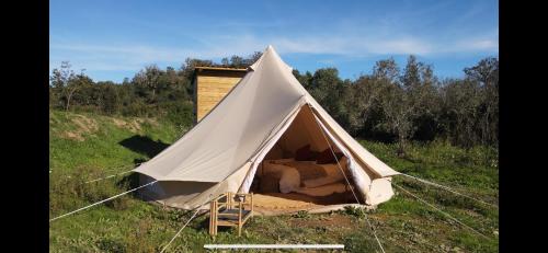 Silves Otro | Tribu Lodge