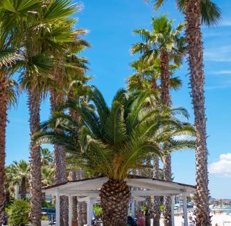 Pefkochori Hotel | Tridente Mare Apart Hotel