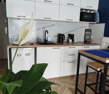 Sztutowo Apartamento | Trimare Blue Apartament Sztutowo