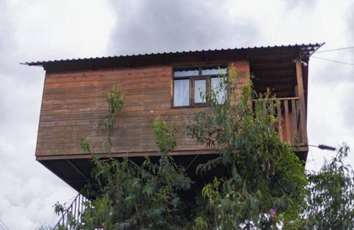 Omitlán de Juárez Casa | Trini Tree House — Nido By GEstores