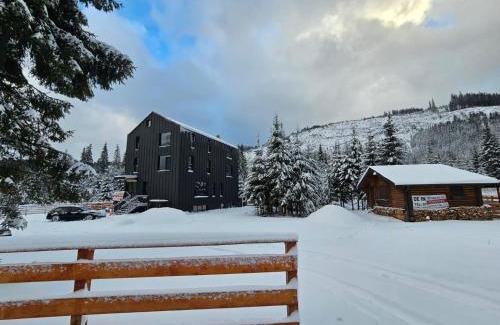 Voineasa Apartamento | Triple room with Balcony Transalpina Ski Resort - TRI2
