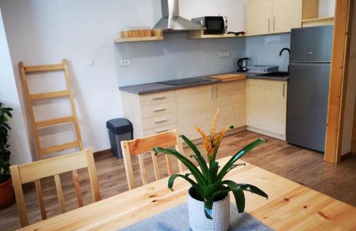 Bohinj Apartamento | TriSa apartments Bohinj