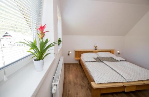 Bohinj Apartamento | TriSa apartments Bohinj