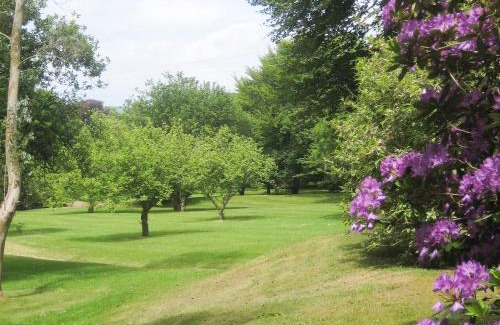 Lostwithiel Casa | Tristan's - Ukc3906