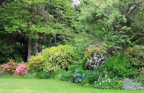 Lostwithiel Casa | Tristan's - Ukc3906