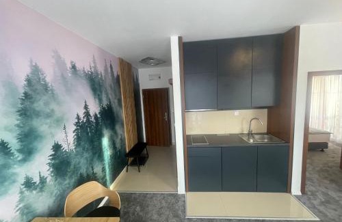 Velka Lomnica Apartamento | TRITA SK - Apartmán Tatragolf C303