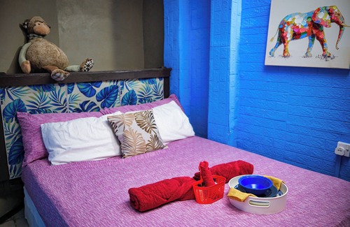 Trouya Casa | Tropic Nook Too