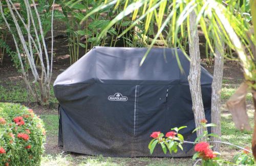 Damas Apartamento | Tropical Bliss Pool Wi-Fi BBQ Near Quepos Manuel Antonio