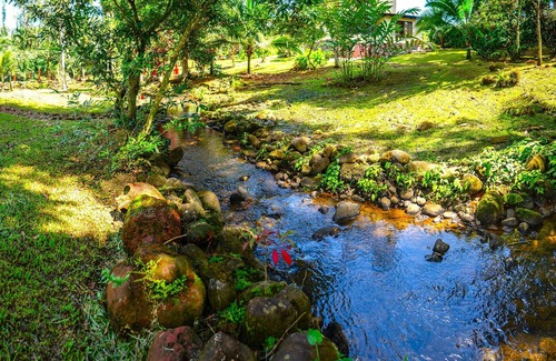 Penjamo Cabina | Tropical Cabin Near La Fortuna – Private Pool & BBQ Oasis