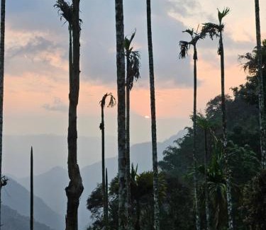 Vayittiri Otro | Tropical camping