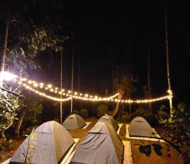 Vayittiri Otro | Tropical camping