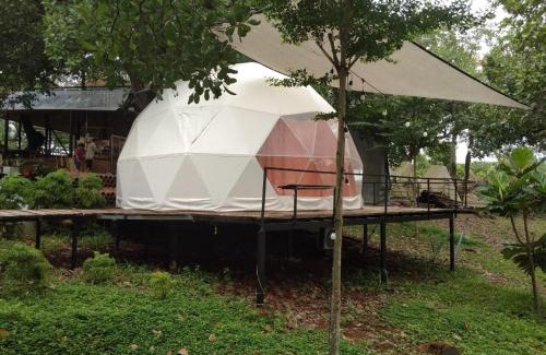 Dinh Quan Otro | Tropical eglamping