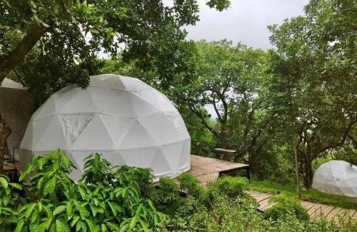 Dinh Quan Otro | Tropical eglamping