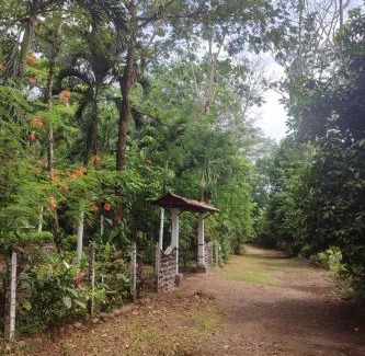 Chachagua Chalet De Esquí | Tropical Forest Adventure Near Arenal Volcano