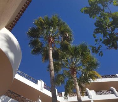 San Miguel de Abona Complejo | Tropical garden, sunshine, heated pool
