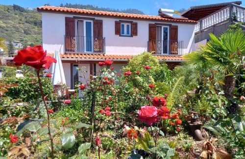 Arco da Calheta Casa | Tropical Garden