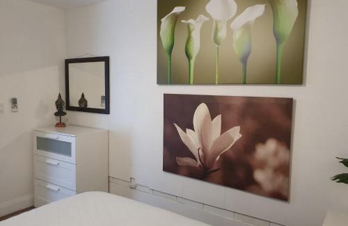 Central Oakland Park Apartamento | Tropical Hideaway!