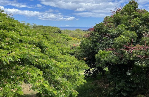 Makaha Valley Condominio | Tropical Ocean View Retreat
