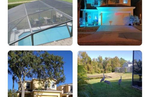 Sandy Ridge Casa | Tropical Paradise for 1